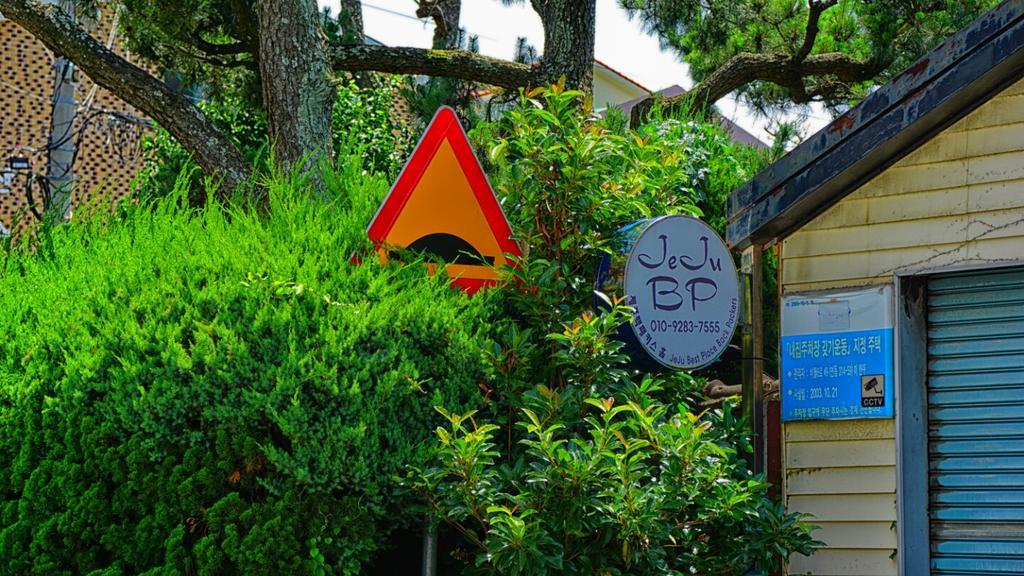 Jeju B.P. Guesthouse Exterior photo